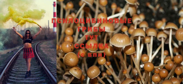 не бодяженный Надым
