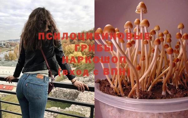 эйфоретик Наволоки