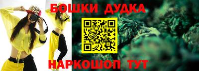 индика Апрелевка