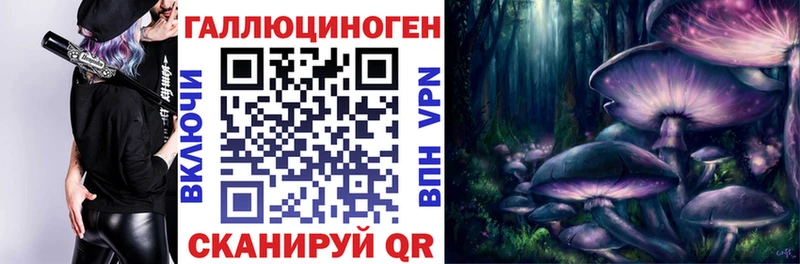 Галлюциногенные грибы MAGIC MUSHROOMS  Кизилюрт 
