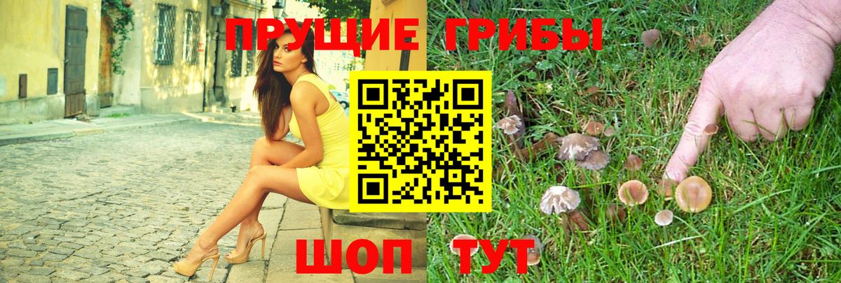 Псилоцибиновые грибы MAGIC MUSHROOMS Кизилюрт