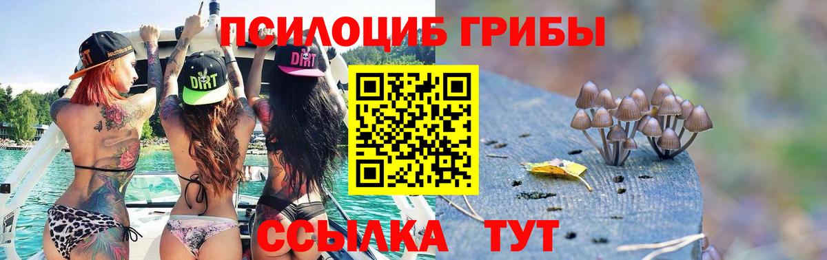 Галлюциногенные грибы Psilocybe  Псилоцибиновые грибы мицелий  Кизилюрт  Вход с VPN 
