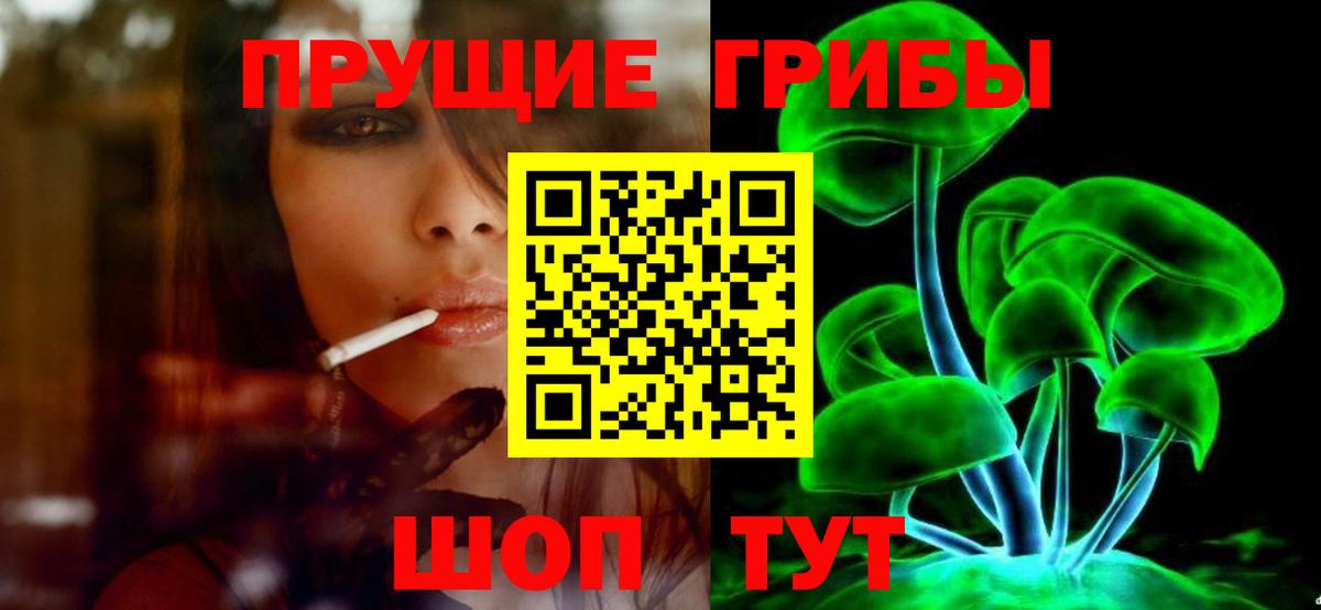 Псилоцибиновые грибы Psilocybe Кизилюрт