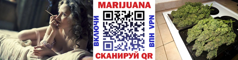 Каннабис сатива  Кизилюрт 