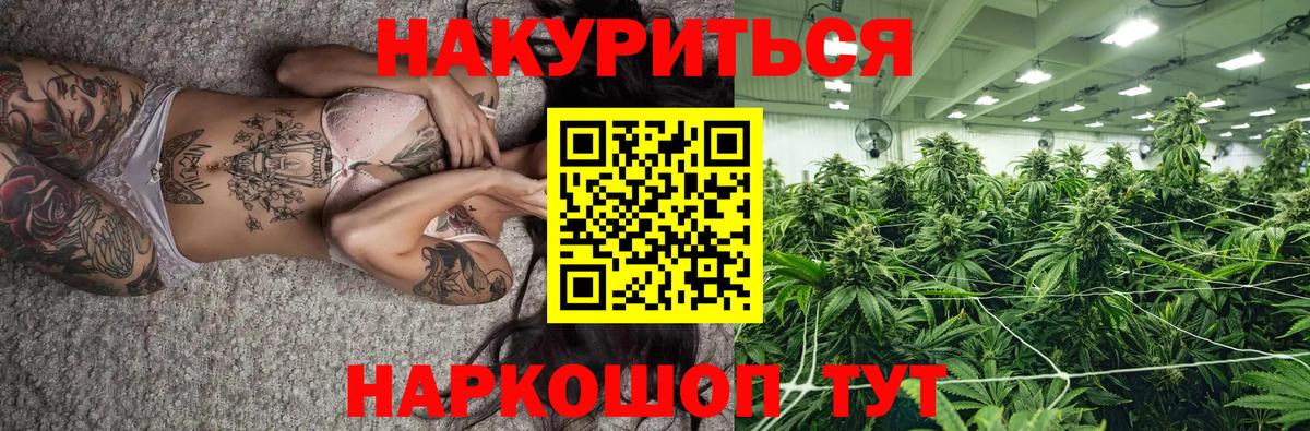 Бошки Шишки план Кизилюрт